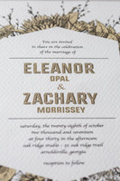 CLP-Morrissey-26