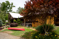 CLP-Weddington-1
