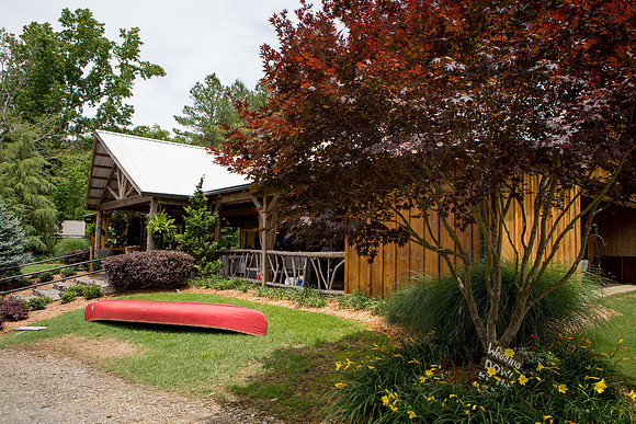 CLP-Weddington-1