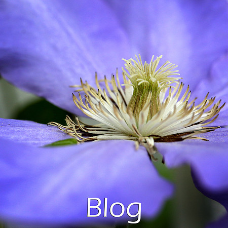 IMG_0680 copy