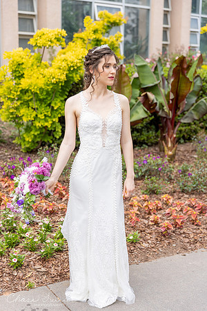 CLP-GolanWED-174