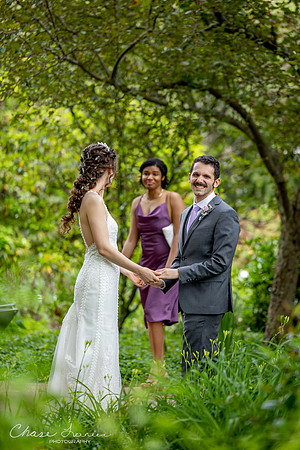 CLP-GolanWED-89