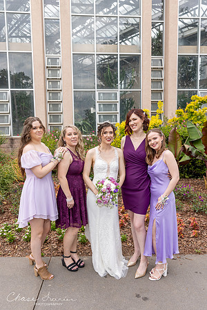 CLP-GolanWED-217
