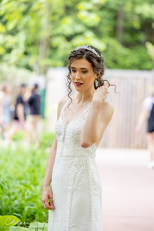 CLP-GolanWED-130
