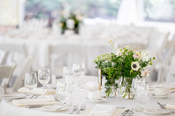 CLP-SteinWED-88