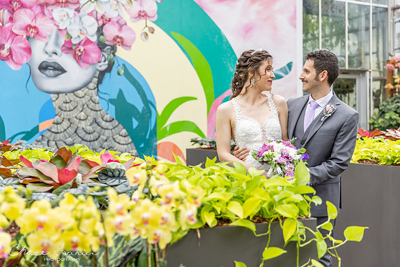 CLP-GolanWED-151