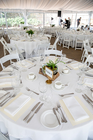CLP-SteinWED-82