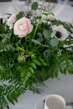 CLP-SteinWED-78