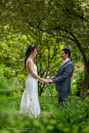 CLP-GolanWED-88