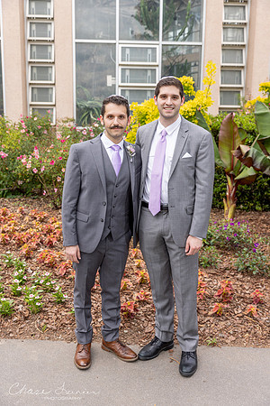 CLP-GolanWED-201