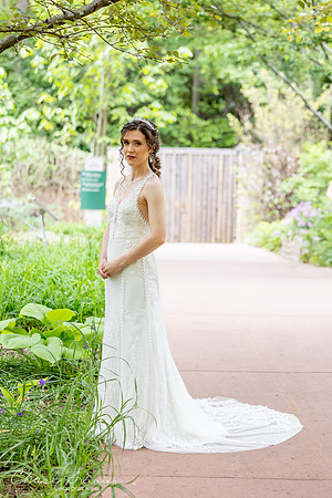 CLP-GolanWED-131