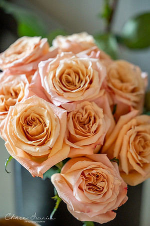 CLP-SteinWED-58