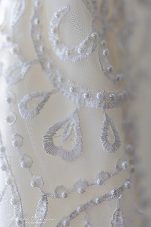 CLP-GolanWED-10