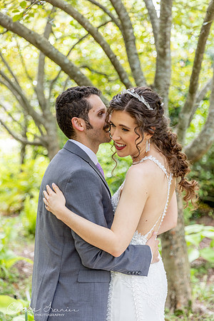 CLP-GolanWED-123
