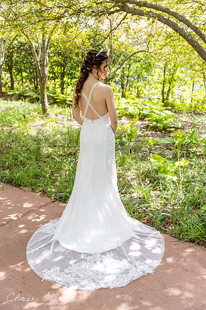 CLP-GolanWED-111