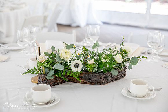 CLP-SteinWED-84