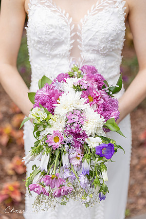 CLP-GolanWED-173