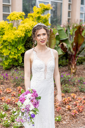 CLP-GolanWED-178