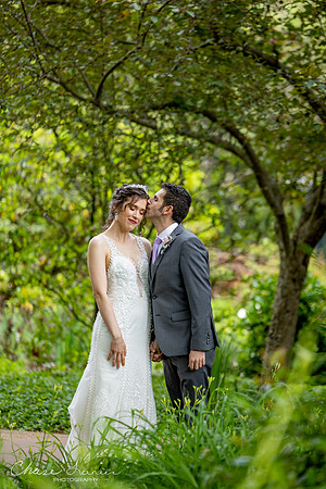 CLP-GolanWED-96