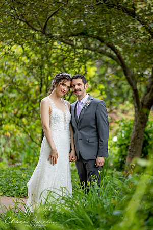 CLP-GolanWED-95