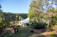 CLP-Downs-2