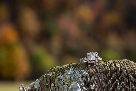 CLP-MoodyWED-18
