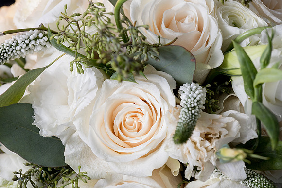 CLP-GirmayWED1-41