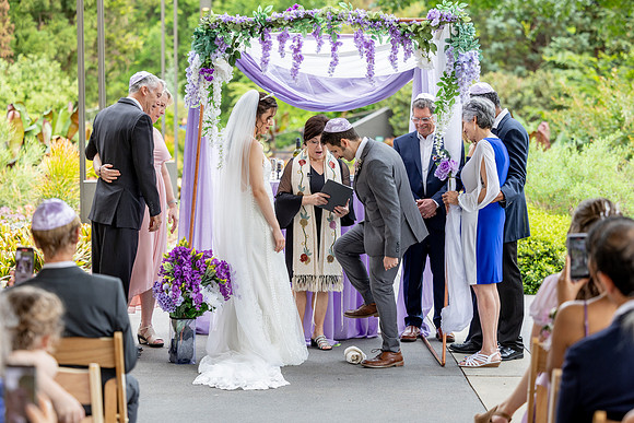 CLP-GolanWED-SP-37