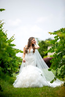 CLP-HerrmannWED-SP-16