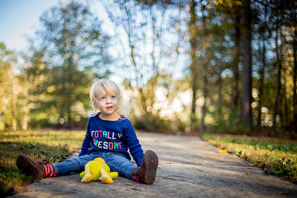 Amelia 2015-109